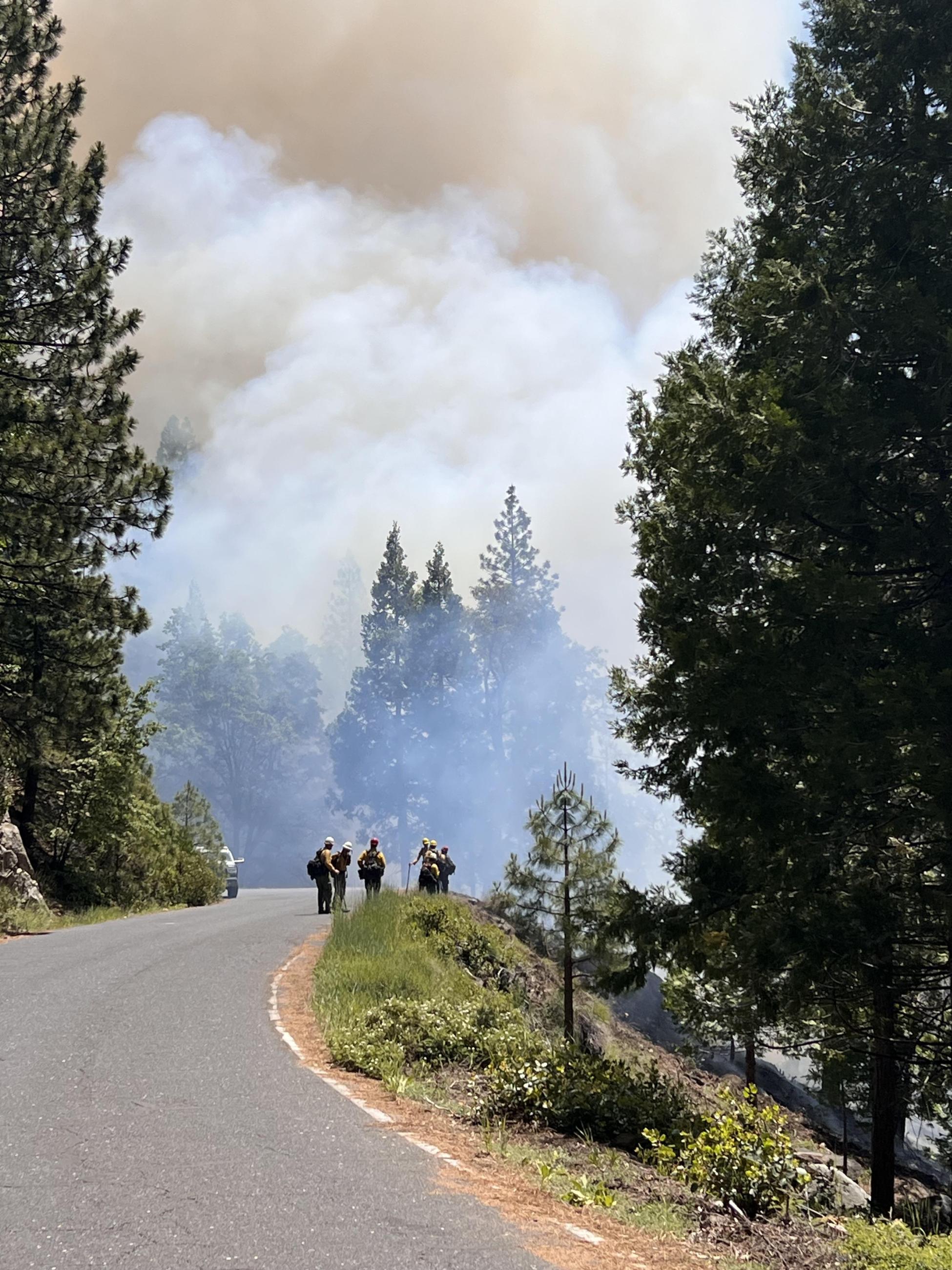 The Crabtree Road closed from Highway 108 to the intersection of Forest Road 4N11/4N26. This closure is to protect the safety of firefighters as well as the public during firing along the road.