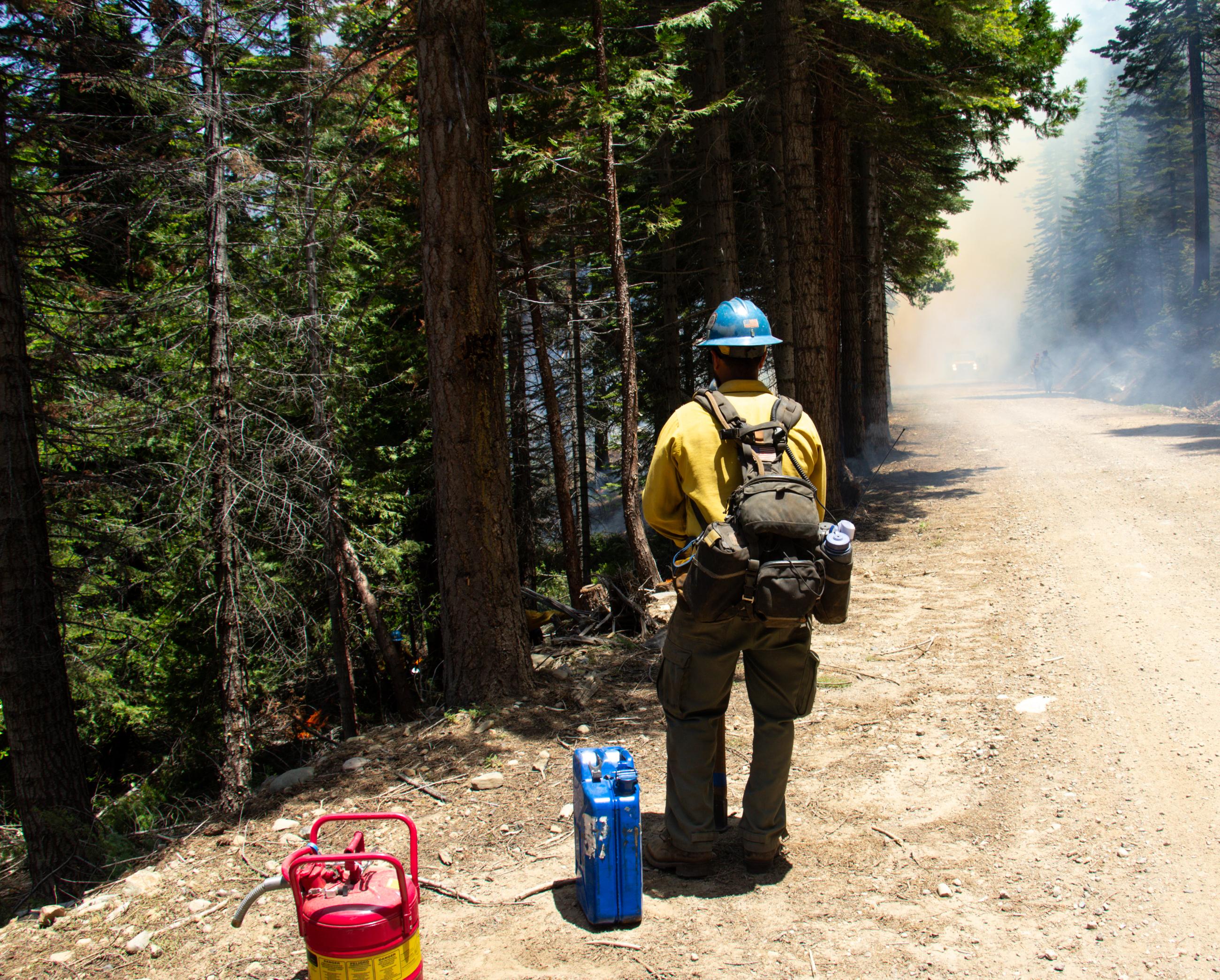 Firefighter patrolling prescribed burn.