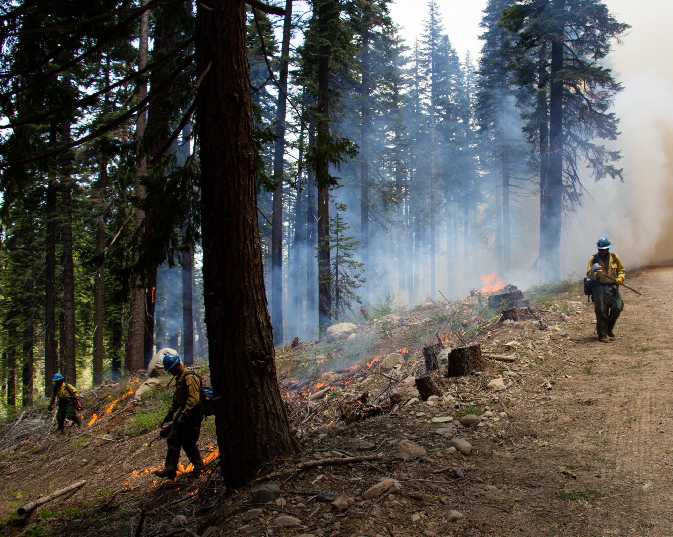 Firefighters patrolling Prescribed burn operations at French Meadows Reservoir on the Tahoe National Forest.