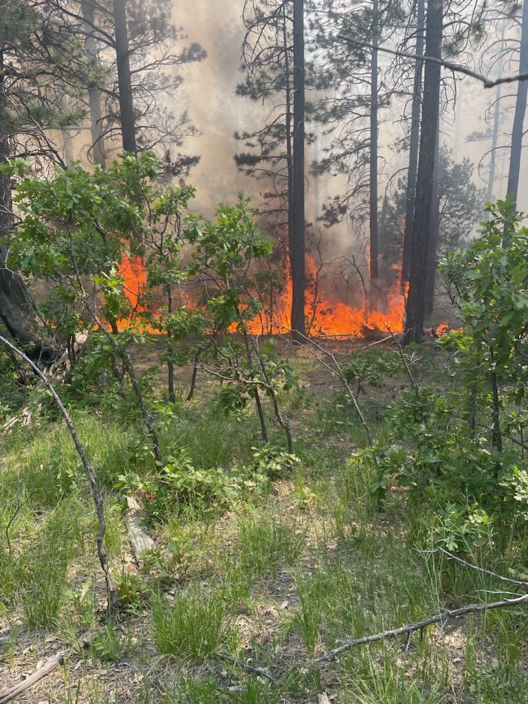 Low intensity fire behavior on the Comanche Fire