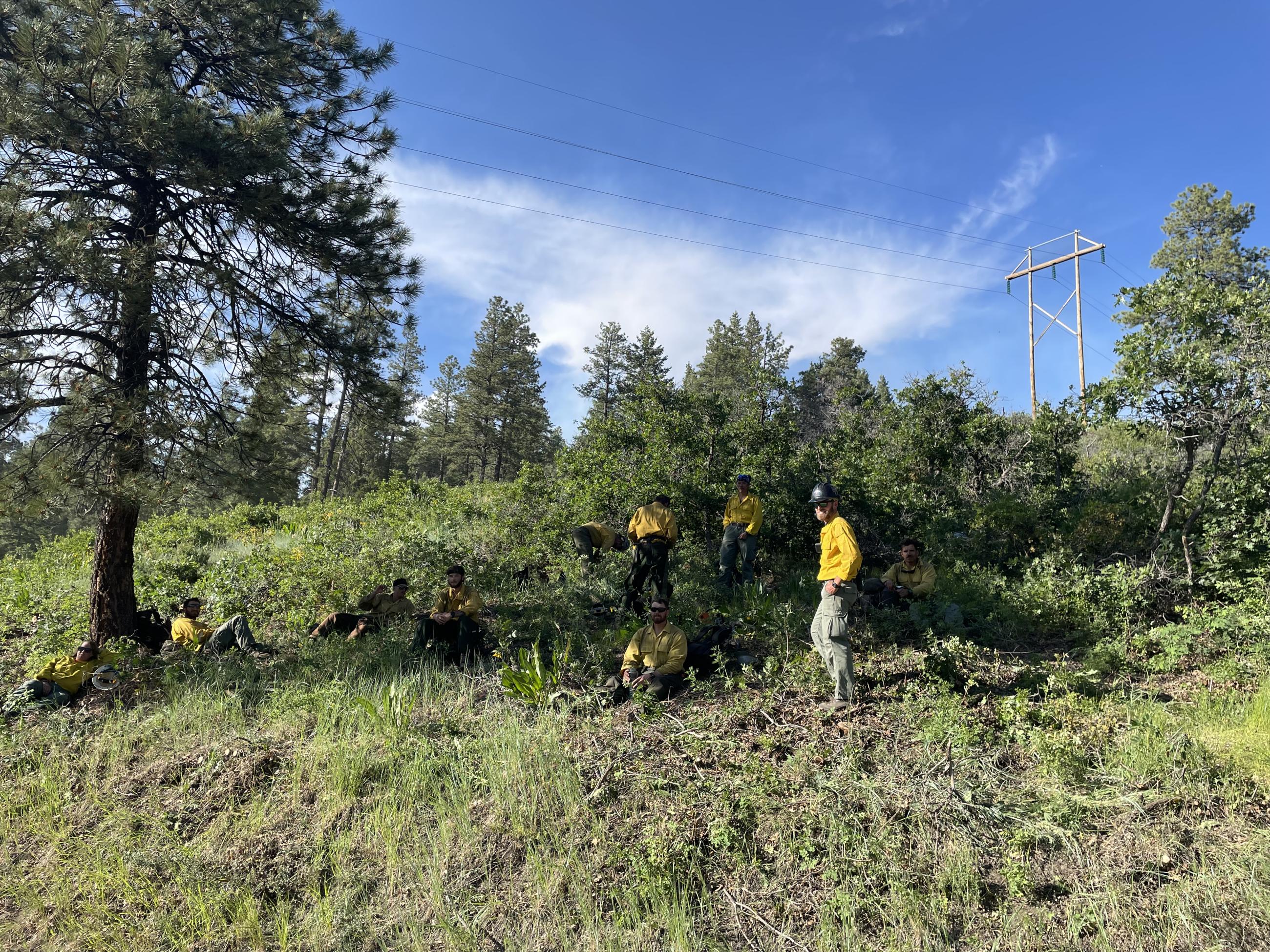 Crews sitting in a forest