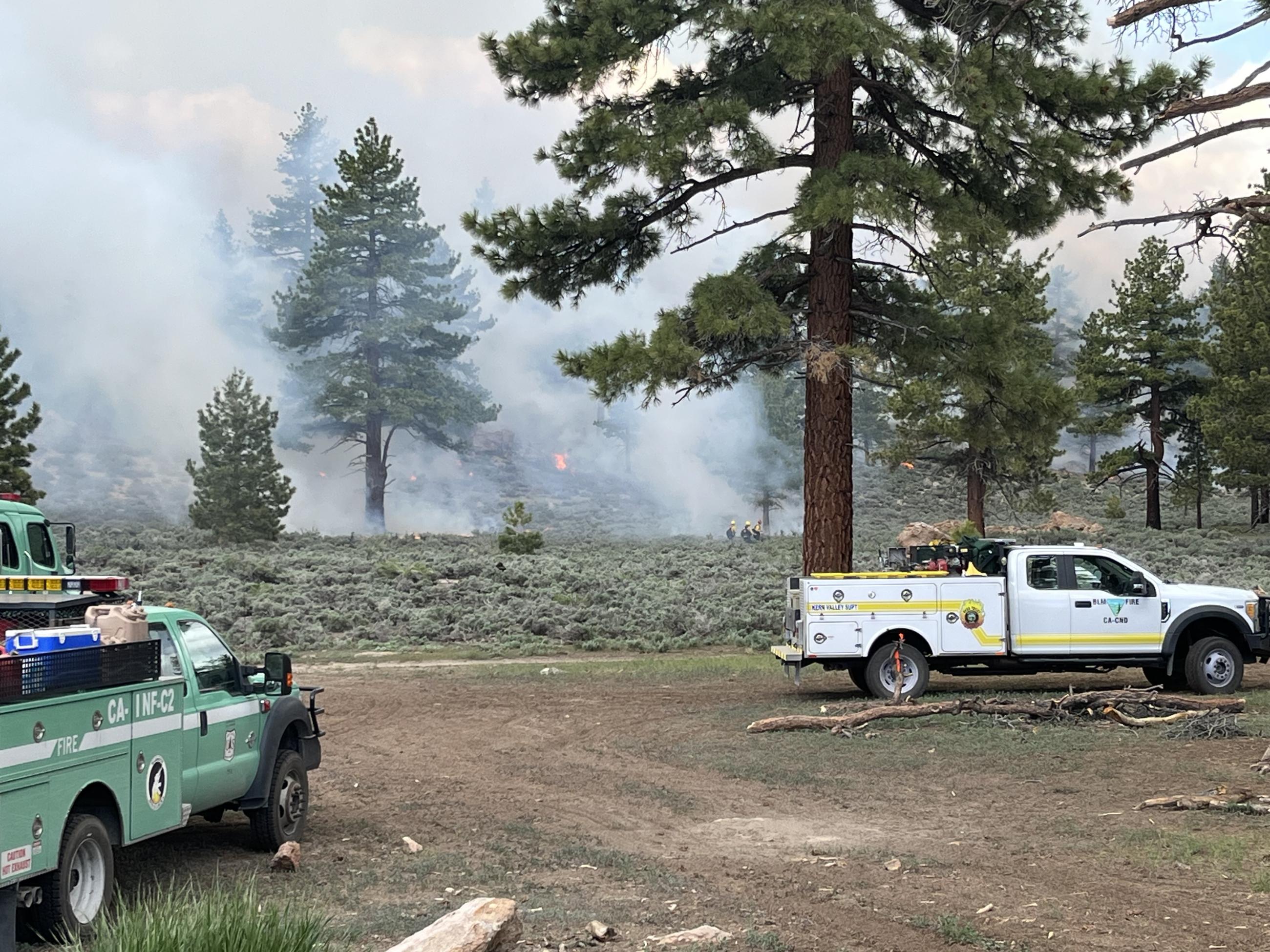 Image showing fire crews burning in the Casa Diablo Prescribed Burn Project