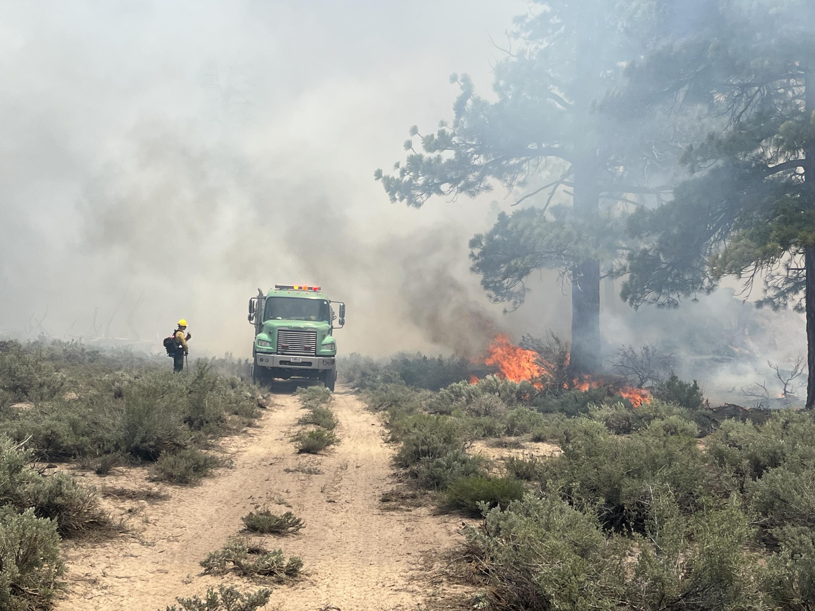 Image showing Inyo NF Fire crews burning in the Casa Diablo Prescribed Burn Project Area