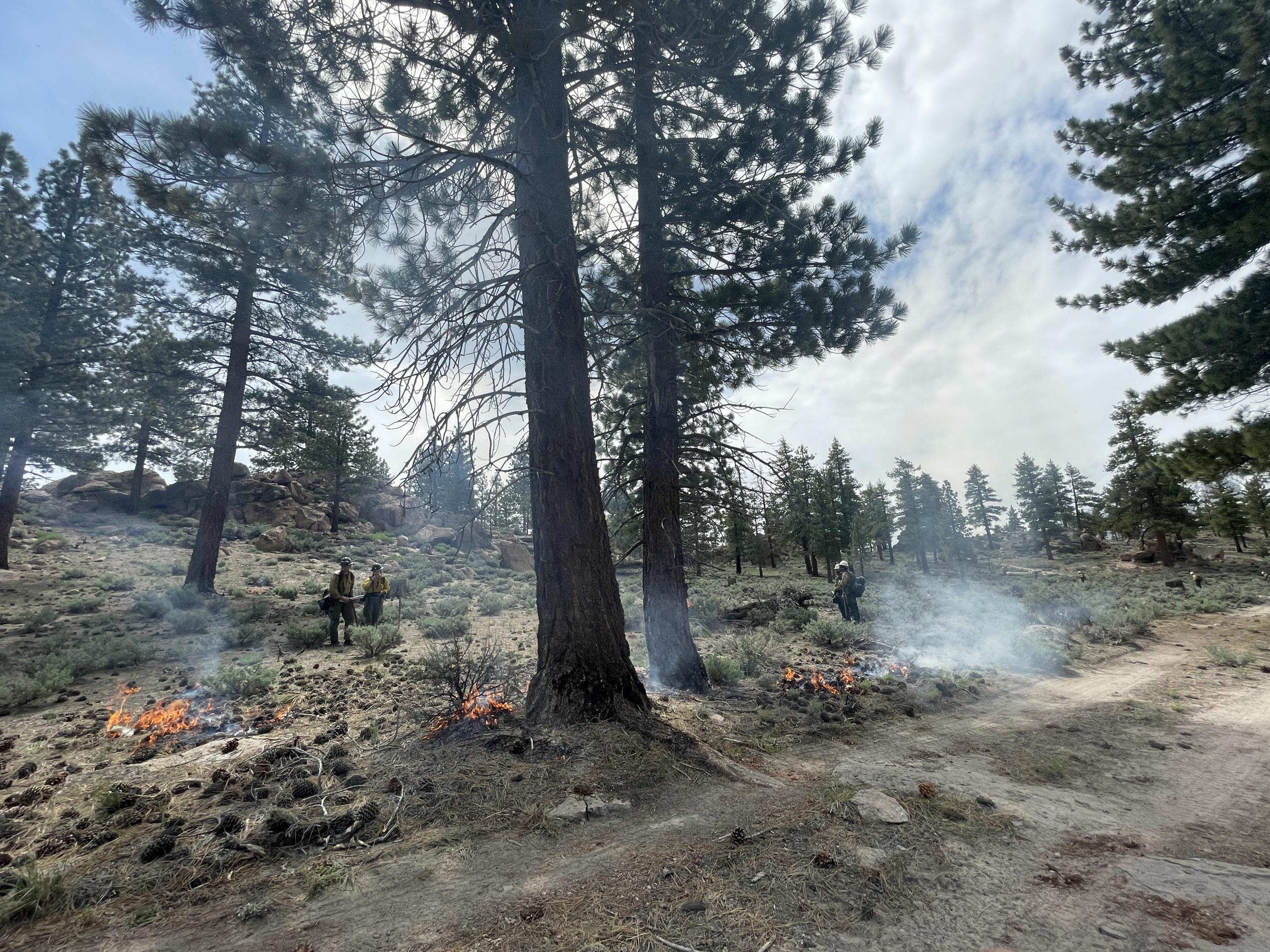 Image showing Burning in the Inyo NF Casa Diablo Prescribed Fire Project