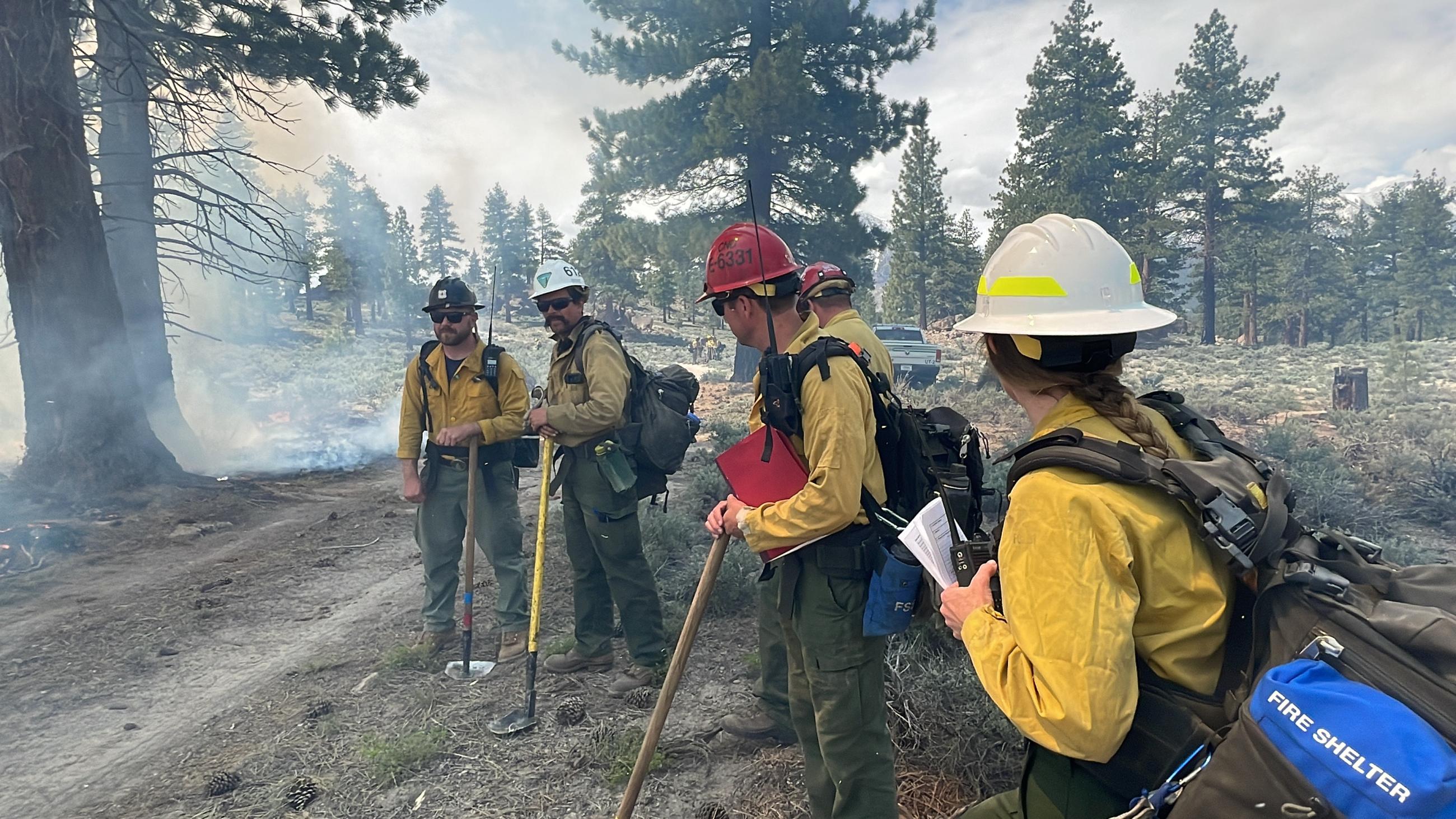 Image showing Burning in the Inyo NF Casa Diablo Prescribed Fire Project