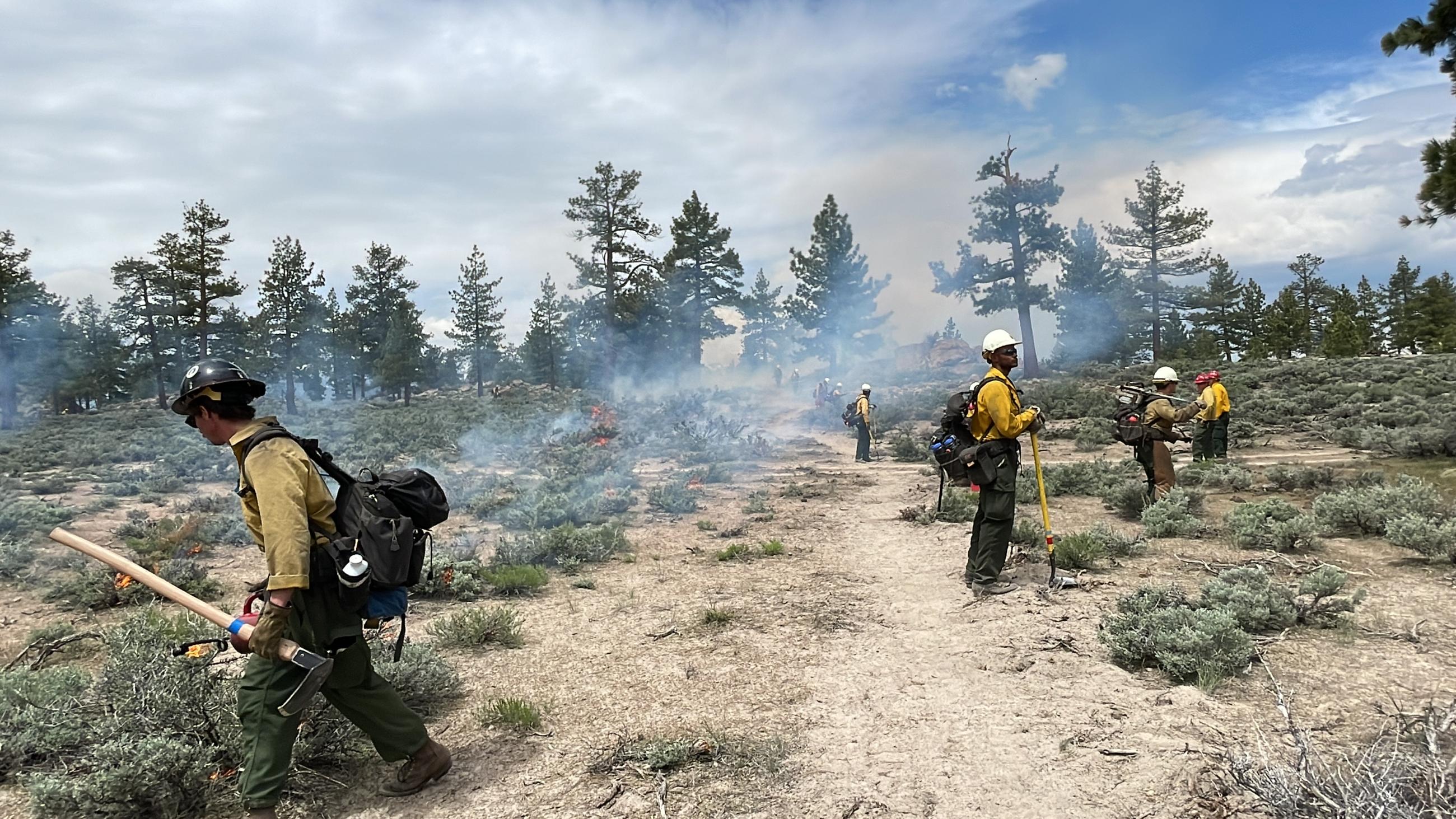 Image showing Burn in the Inyo NF Casa Diablo Prescribed Fire Project