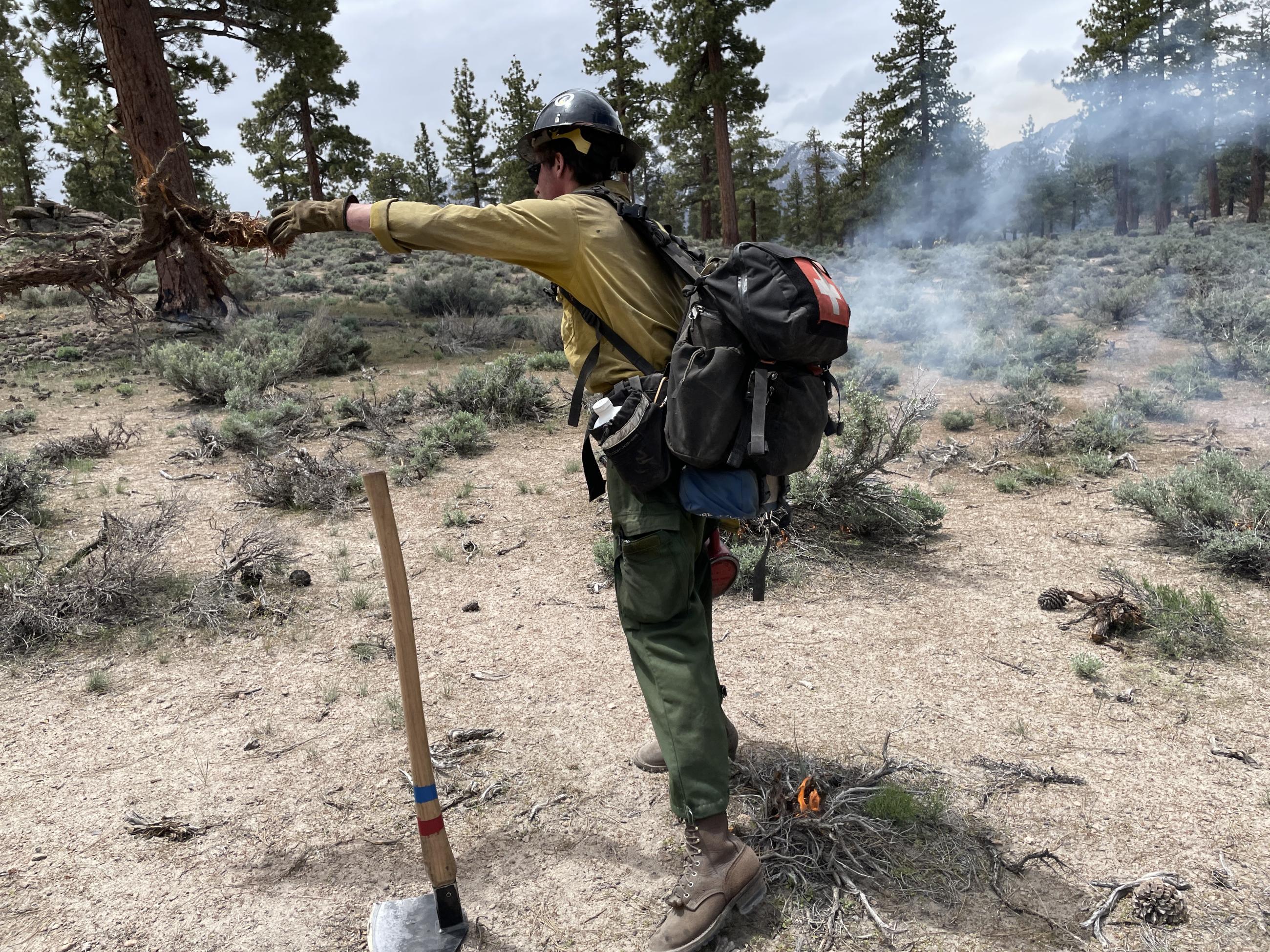 Image showing Burn in the Inyo NF Casa Diablo Prescribed Fire Project