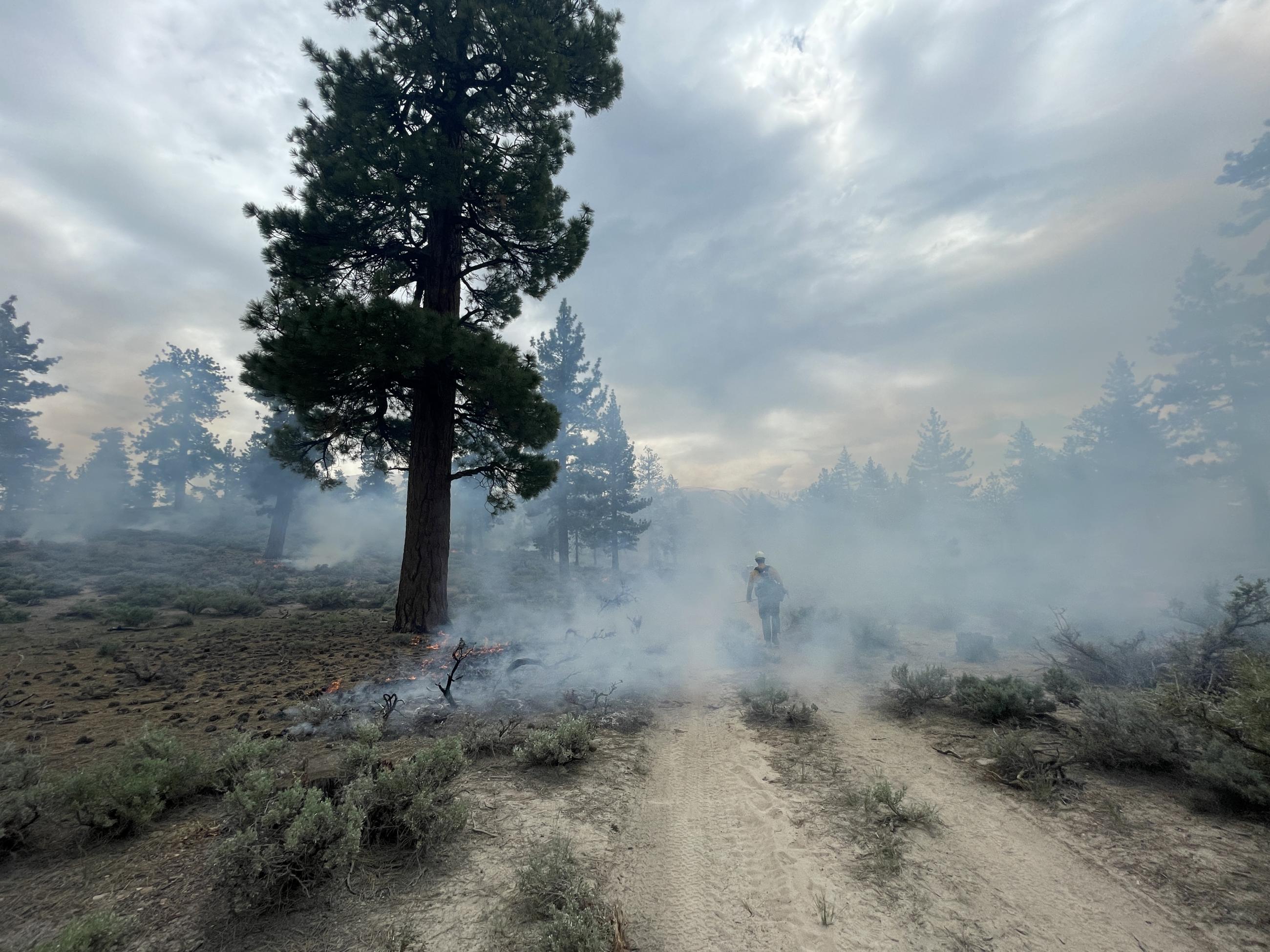 Image showing smoke from the Casa Diablo Prescription Burn Project