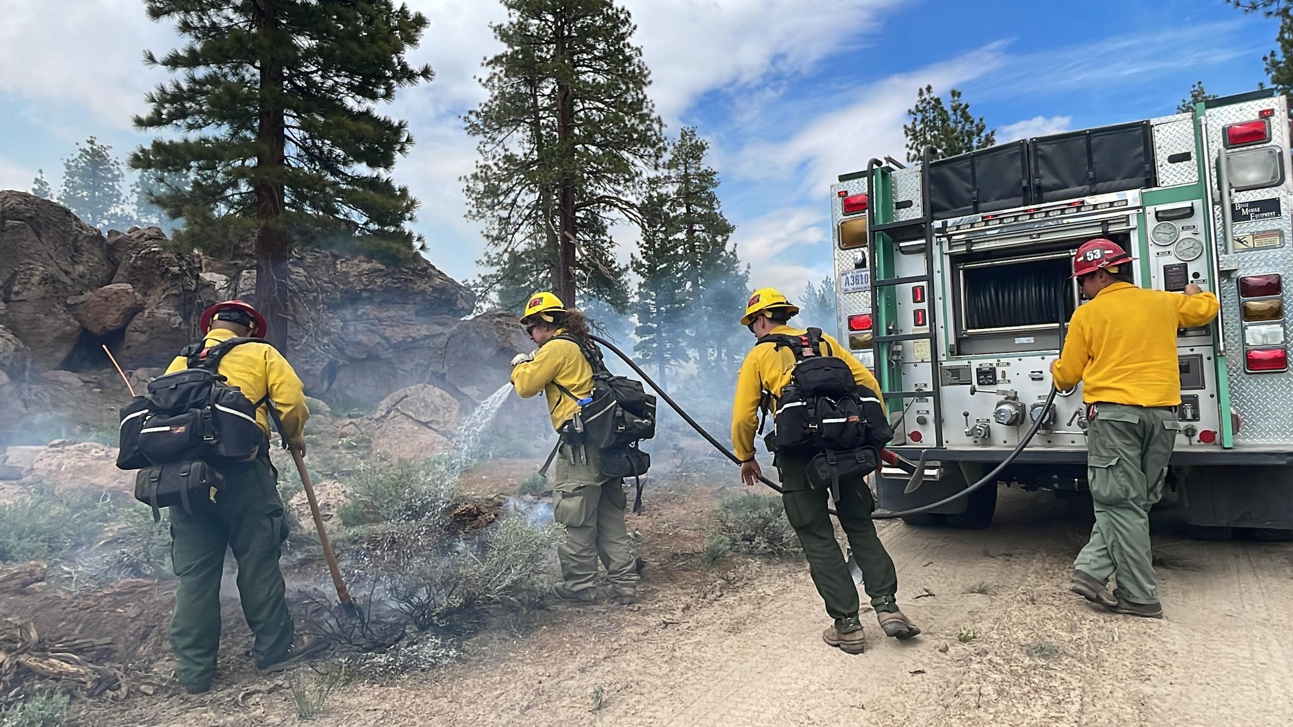 Image showing Burn in the Inyo NF Casa Diablo Prescribed Fire Project