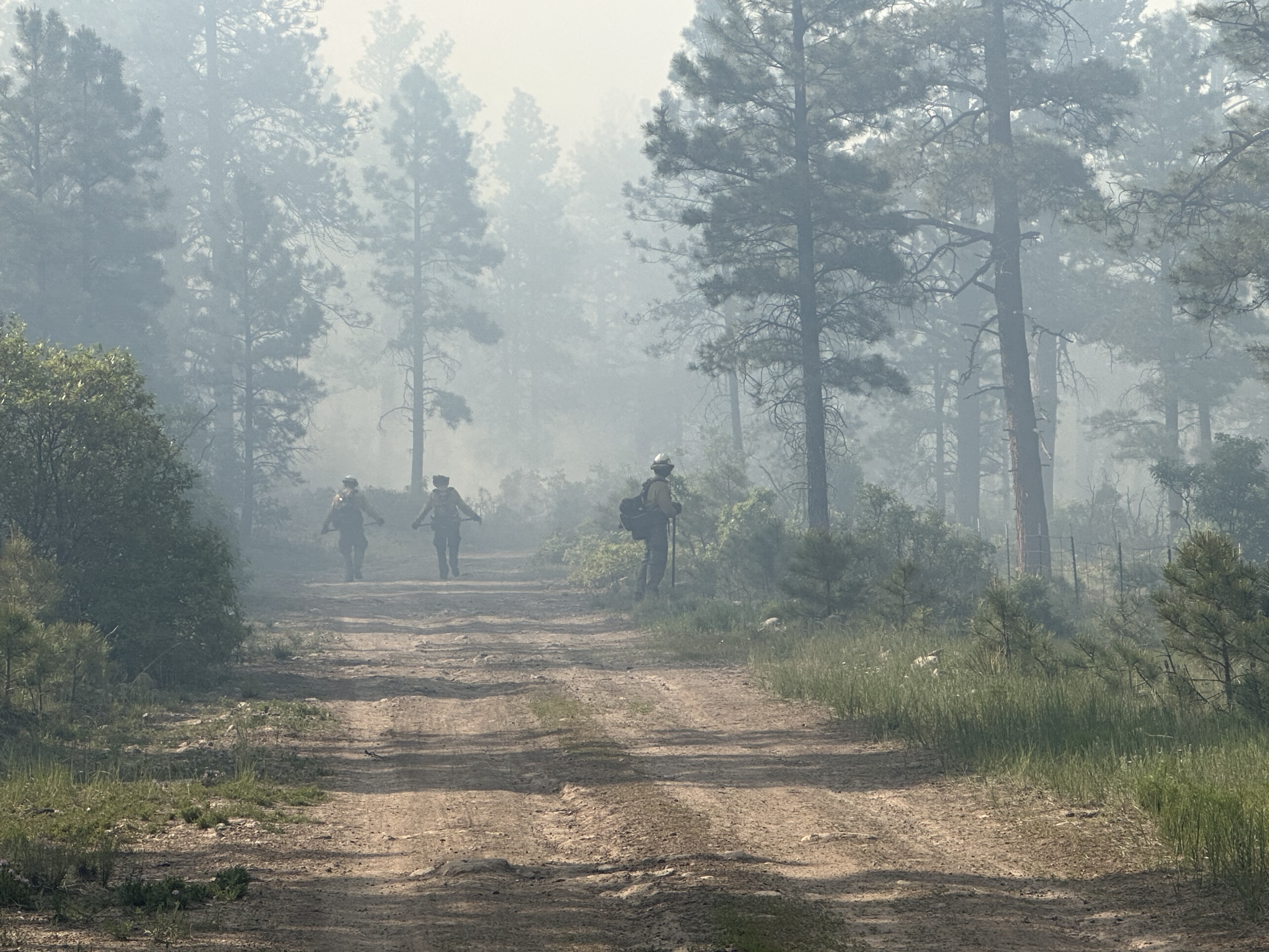 Dorado/Cañada Prescribed Fire 06.14.23