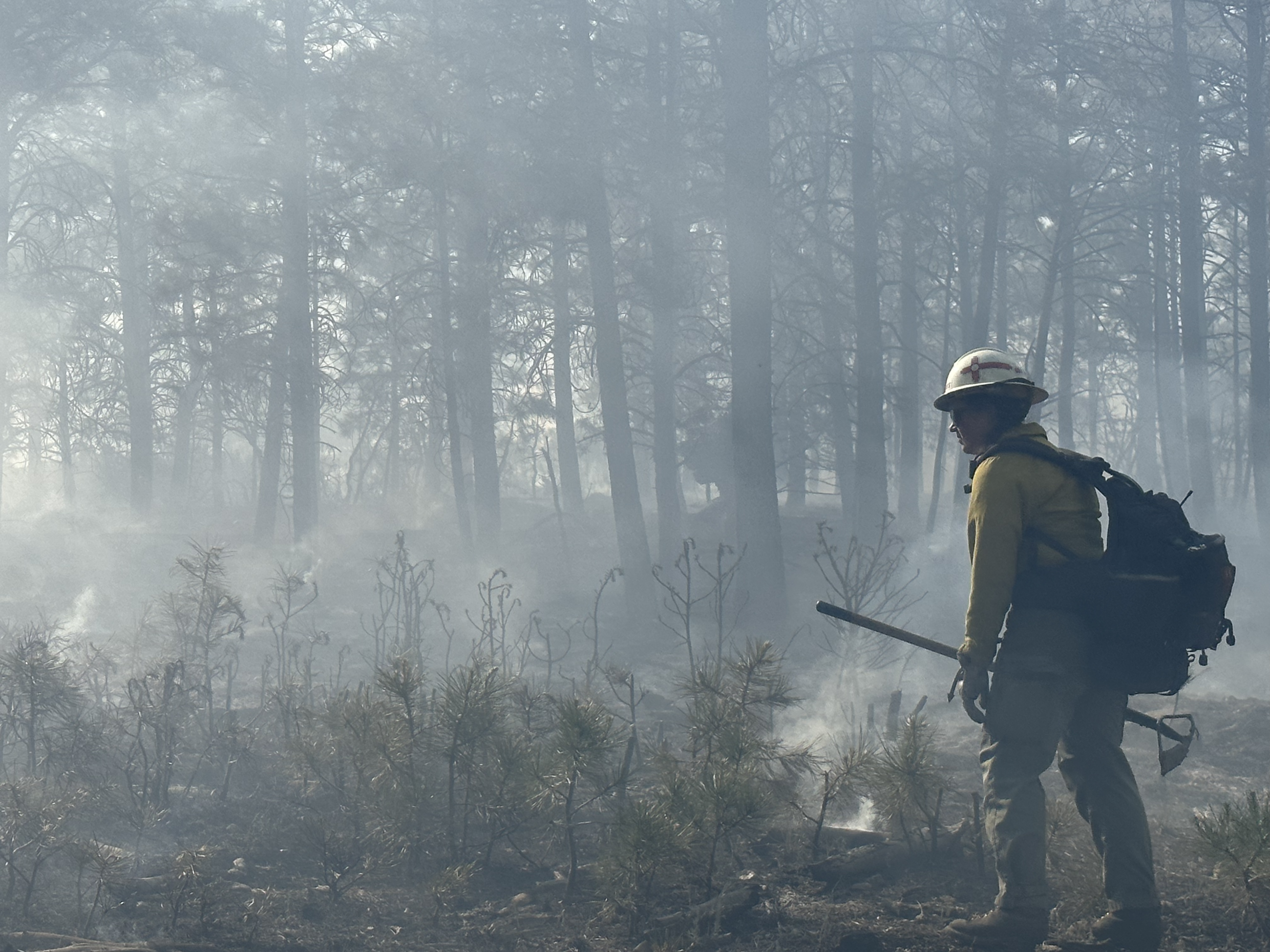 Gila Hotshot on the Dorado/Cañada Prescribed Fire 06.14.23