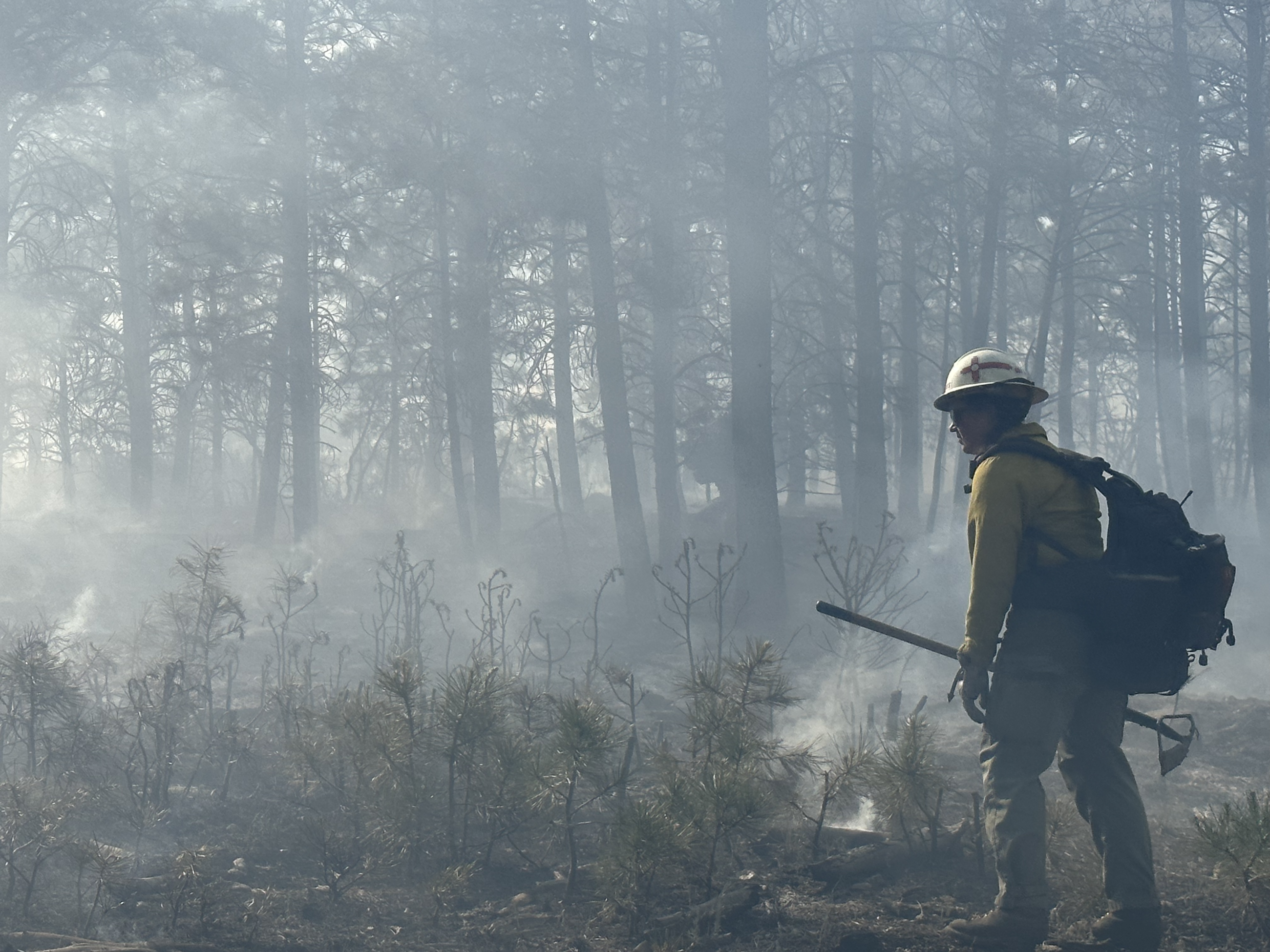 Gila Hotshot on the Dorado/Cañada Prescribed Fire 06.14.23 