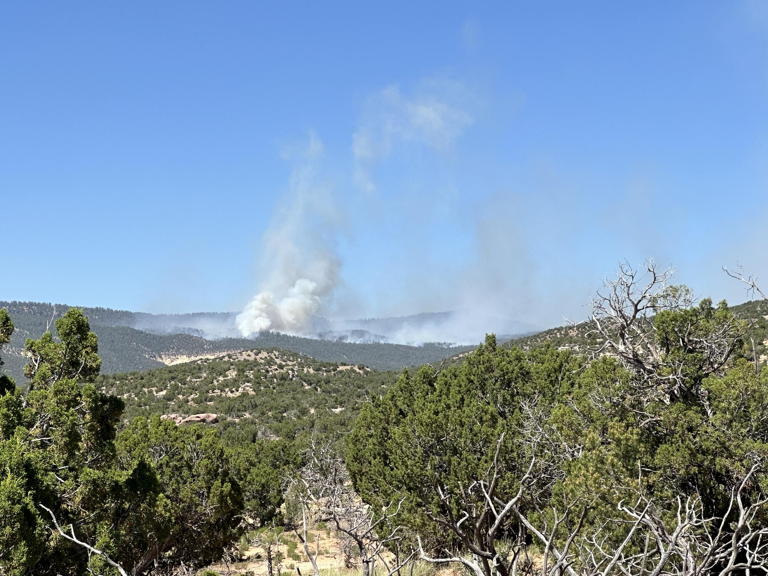 View of smoke from US 84; Comanche Fire. 