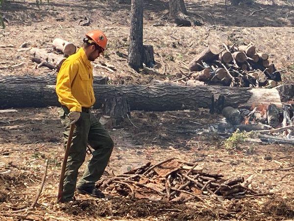 Image of a Mendocino National Forest firefighter preparing a pile for burning