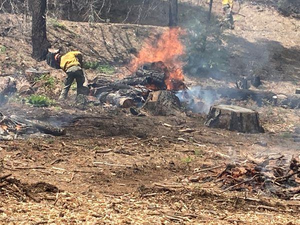 Image of a firefighter working on a hillside next to a pile burning with large logs in the Letts Lake Campground on May 31, 2023