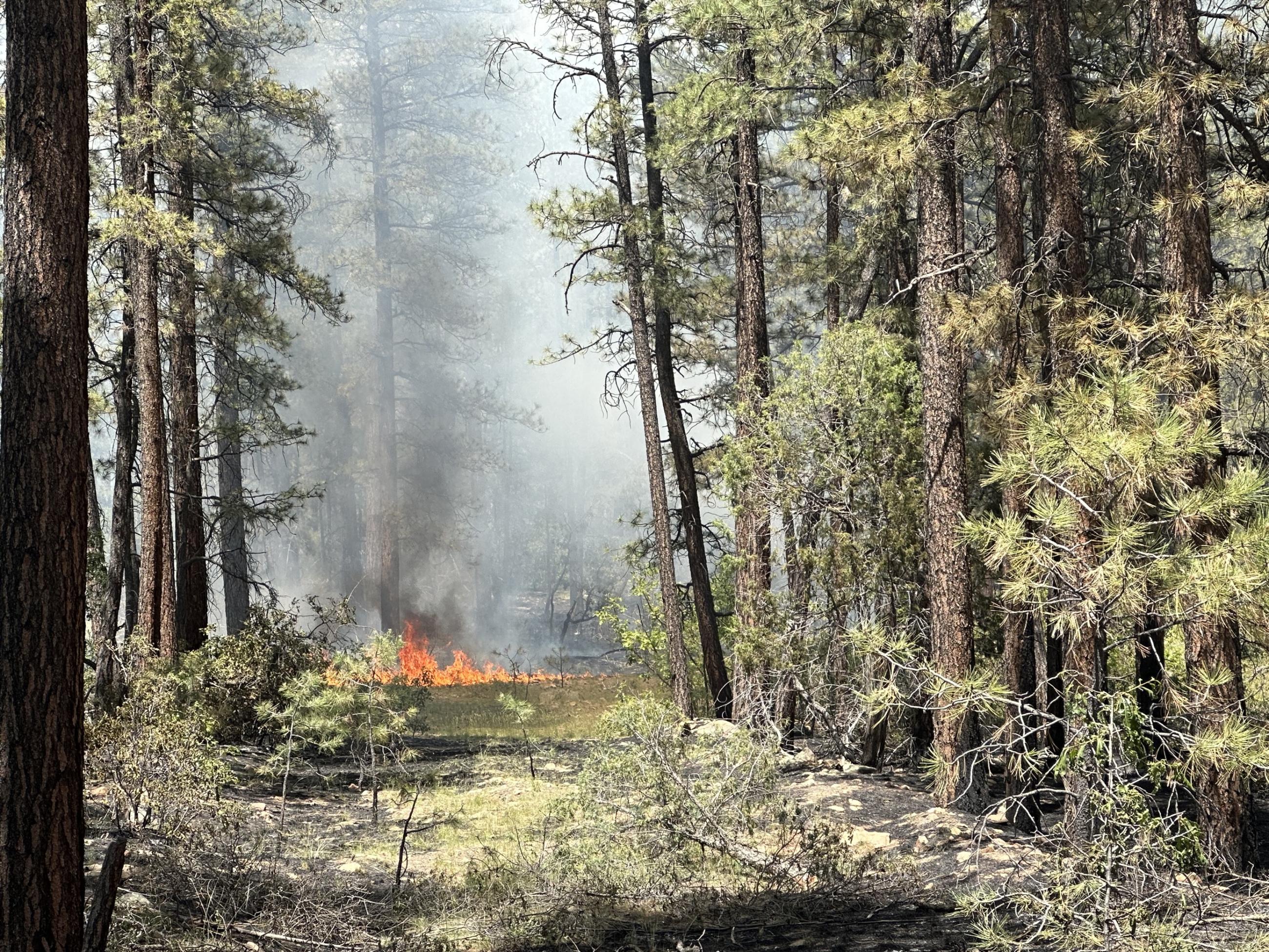 Comanche Fire Division W Hand Ignitions 06.22.23 3