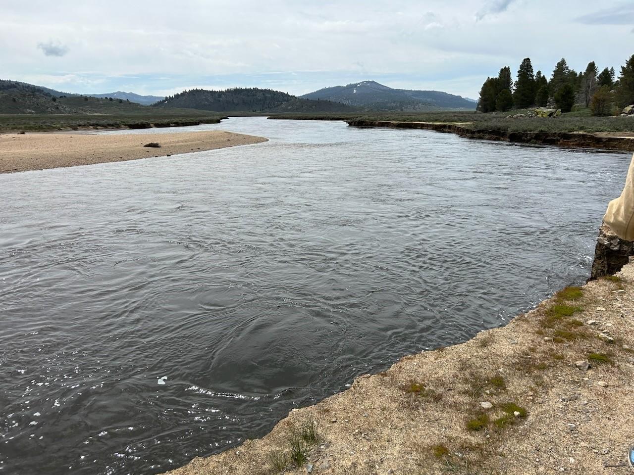 Image showing the South Fork Kern River in Monache Meadows where a road used to cross but it is now flooded over the river