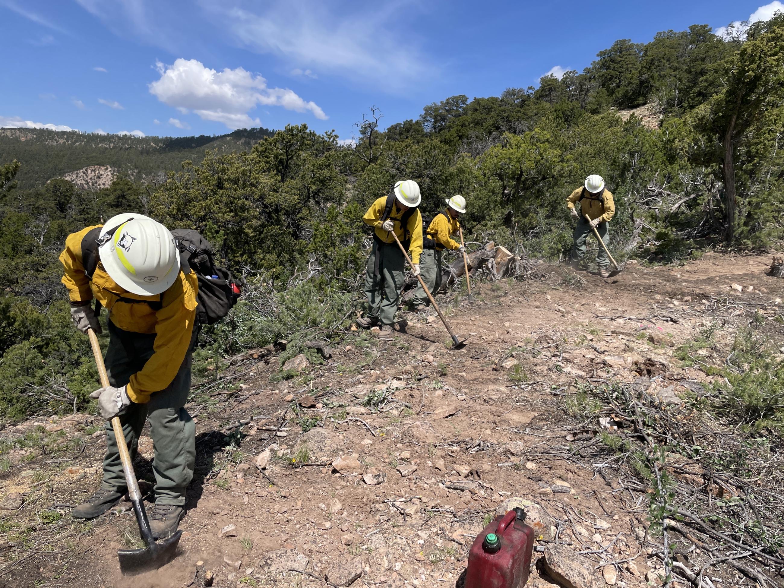 Wildland firefighters dig handline with tools. Firefighters are wearing white hard hats, yellow shirts and green Nomex pants. Forest vegetation is in the background.