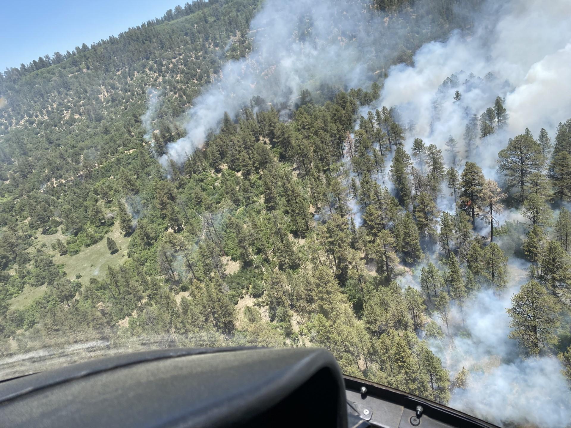 Perspective from a helicopter of smoke drifting up from the forest floor.