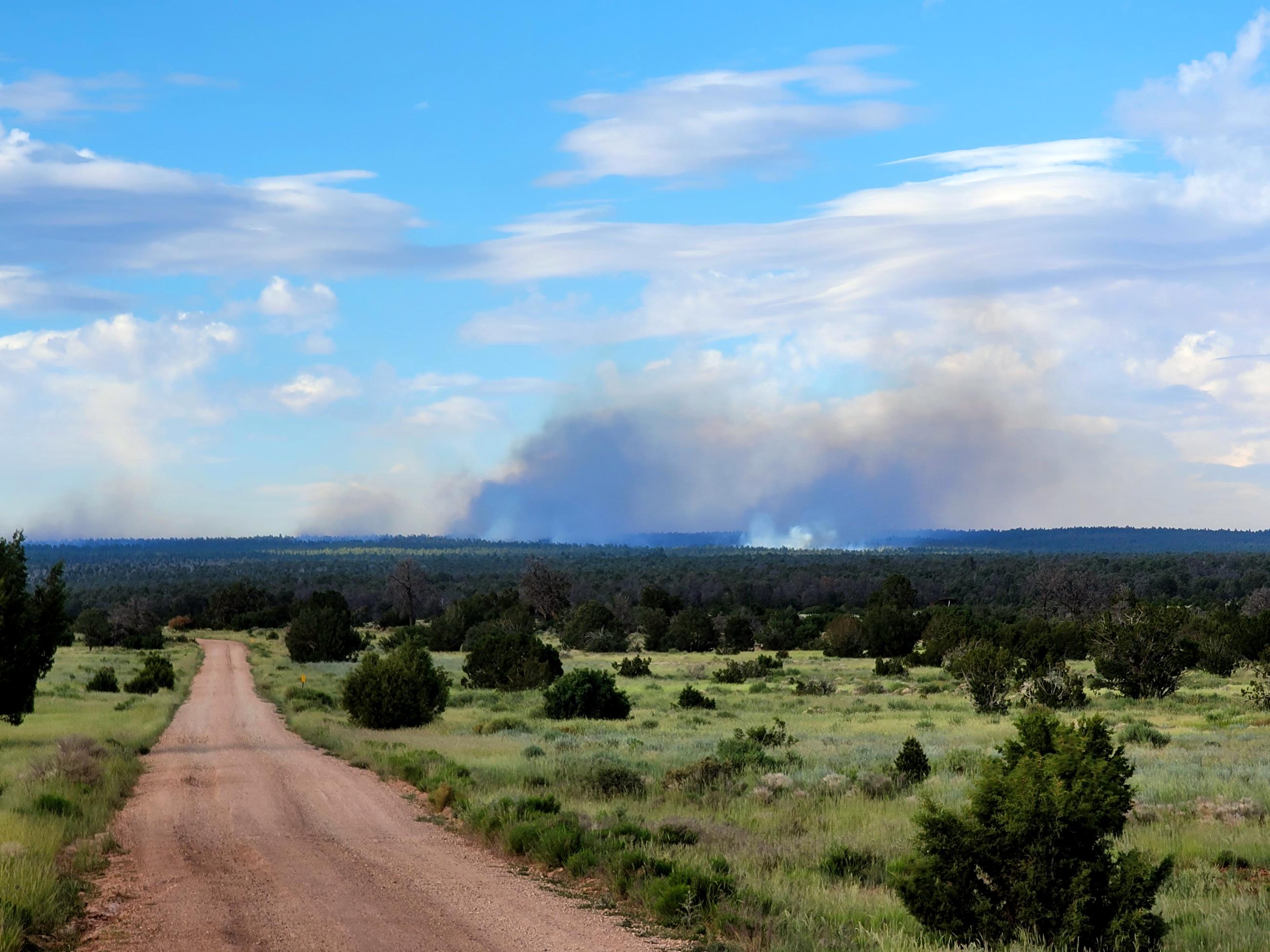 Smoke is rising in the distance beyond a grassy meadow at the forest's edge, a dirt road heads off into the distance starting at the viewers point, all beneath a partly cloudy sky.
