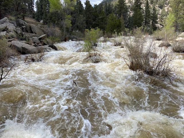 Image showing Raging Swift waters of South Fork Kern River at Pacific Crest Trail Bridge above Kennedy Meadows