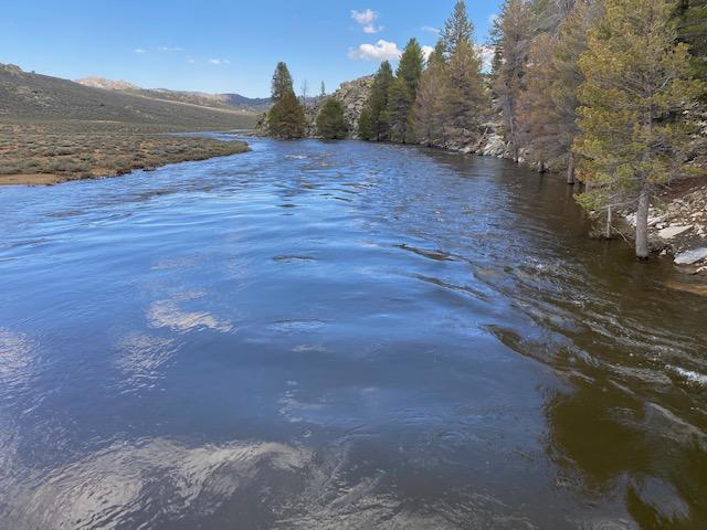 Image showing calm water of the South Fork Kern River at Pacific Crest Trail Bridge near Monache Meadow