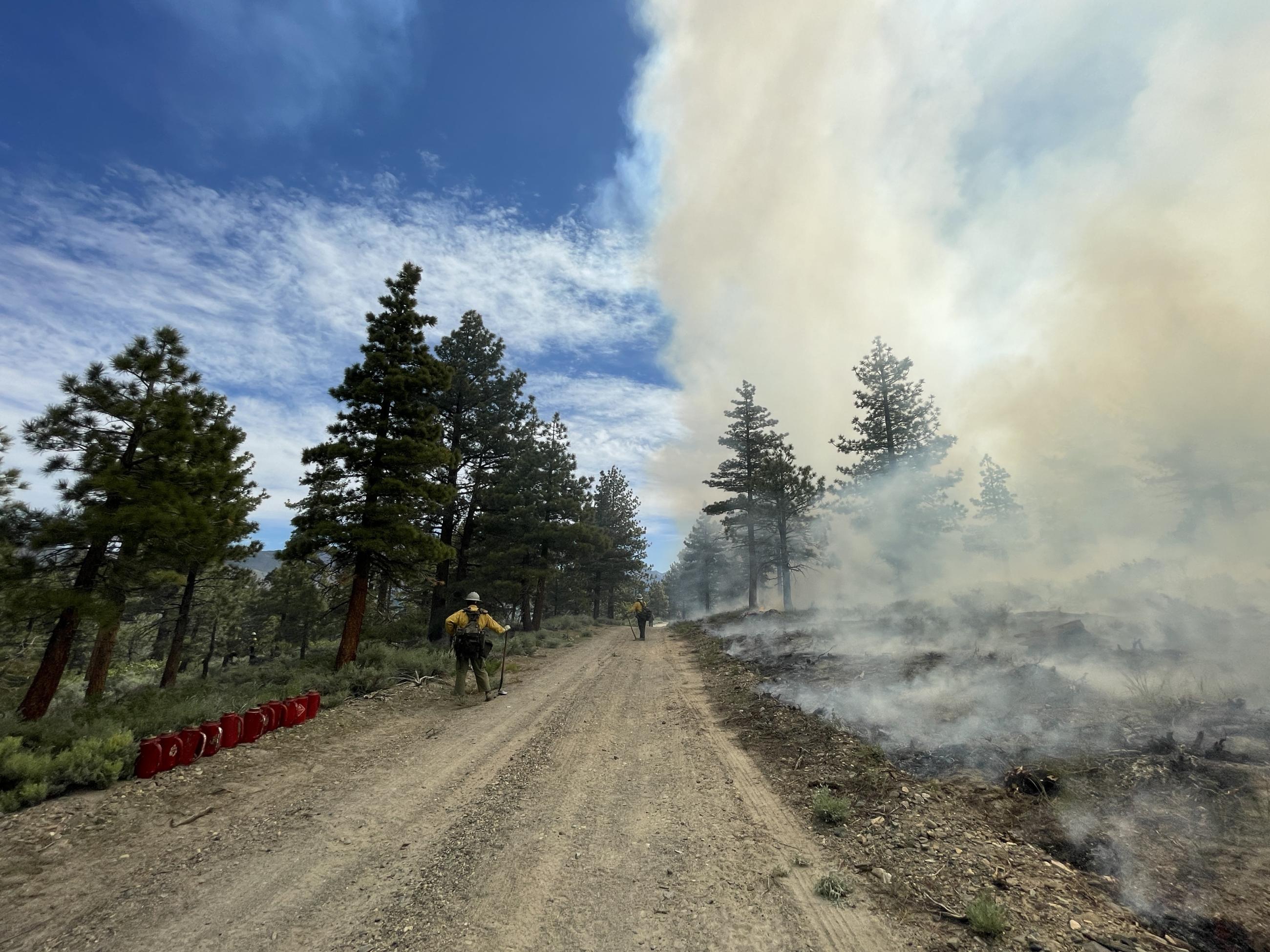 Image showing smoke from the Antelope Prescribed Burn