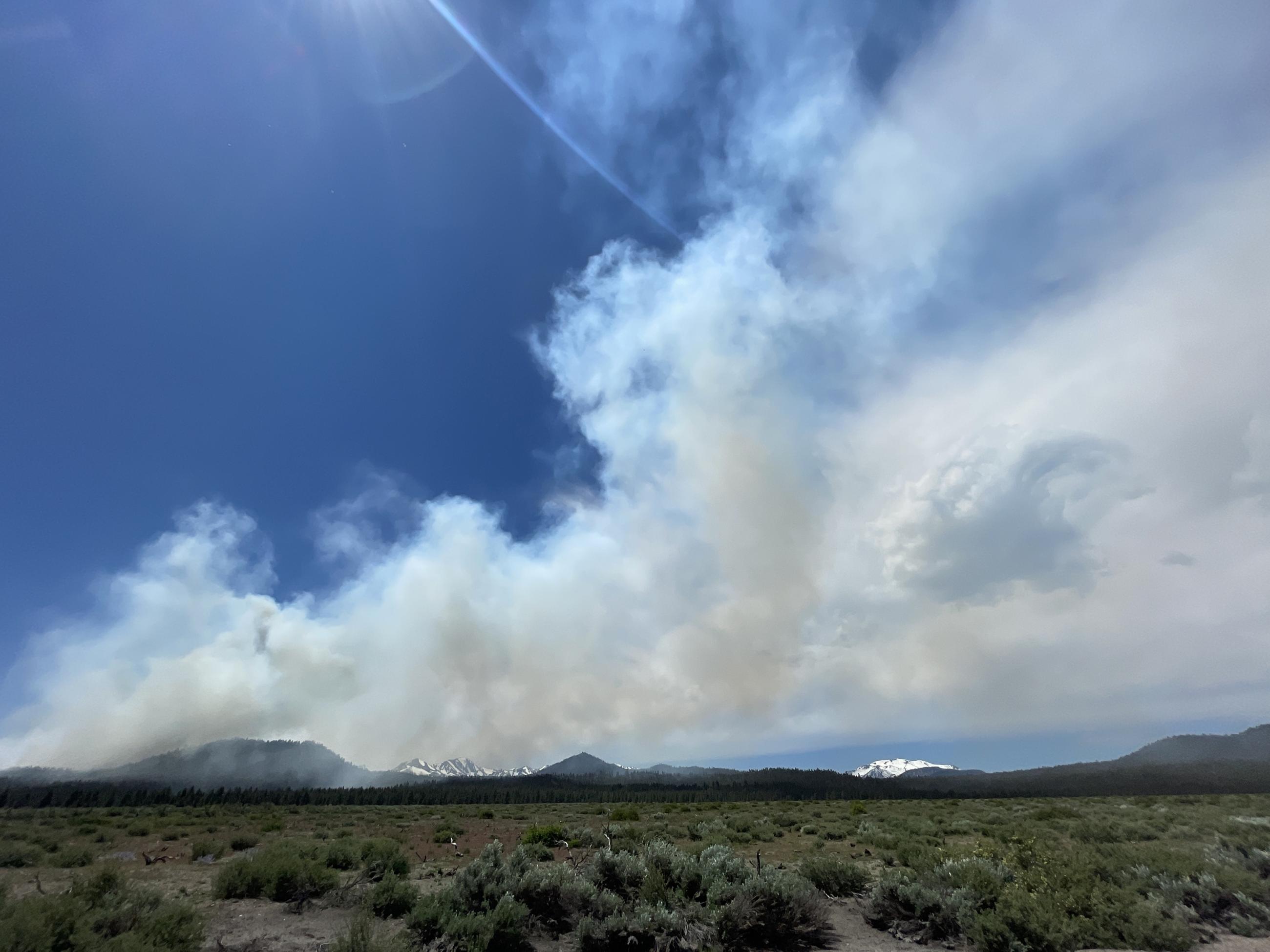 Image showing a view of smoke from the Antelope Prescribed Burn from Owens River Road looking South