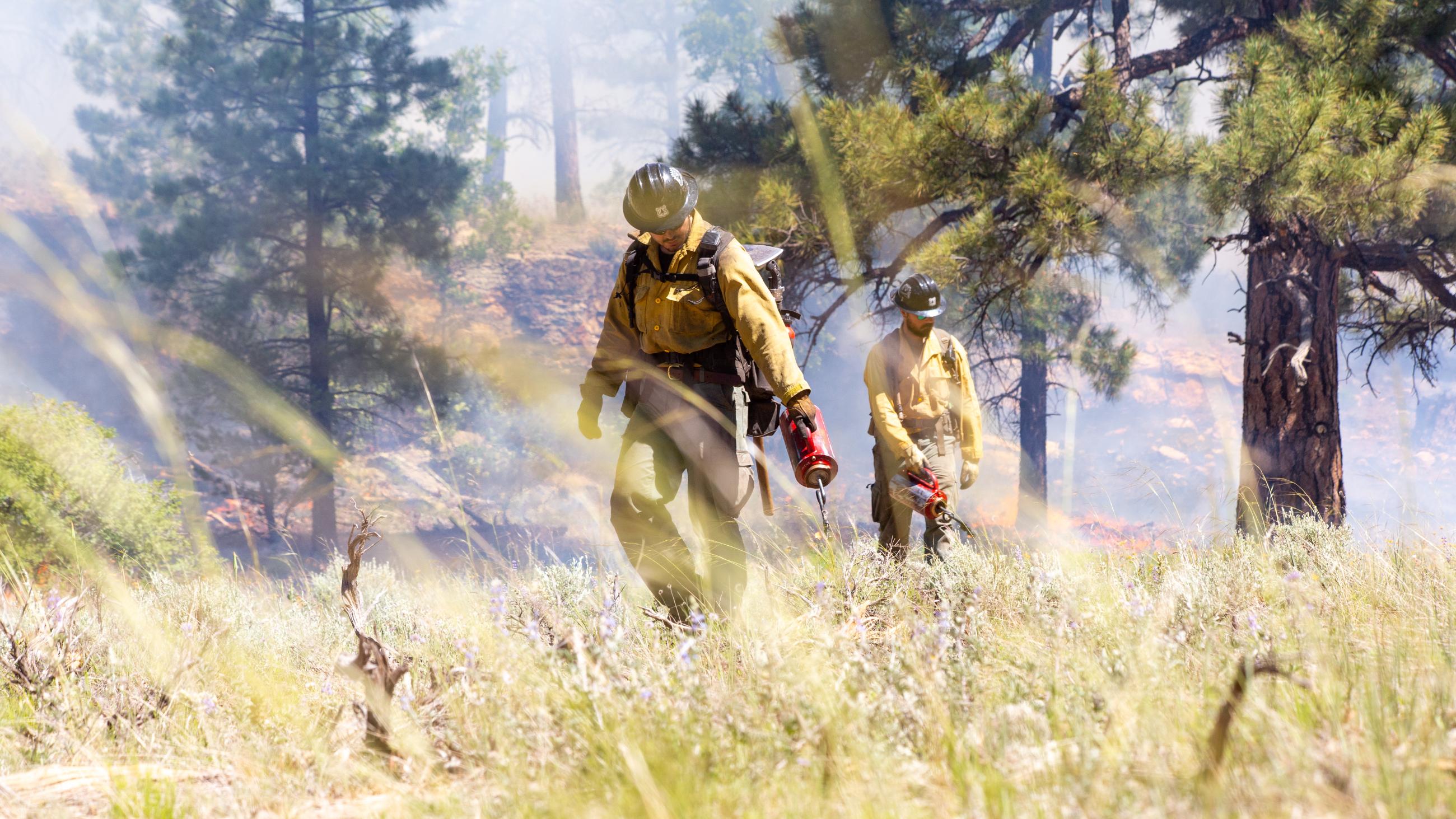 A firefighter wields a drip torch across the landscape.