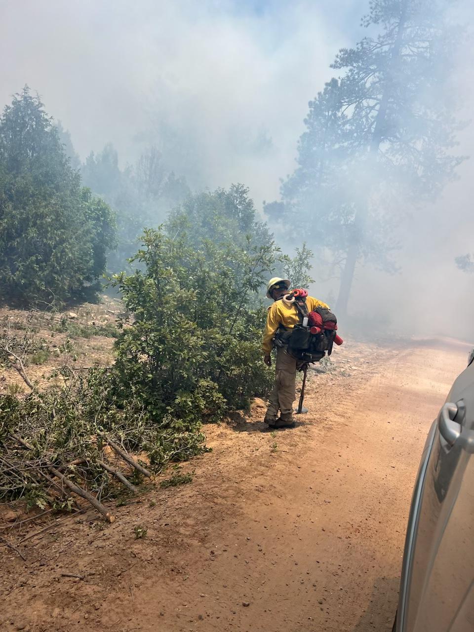 Firefighter near fire line.