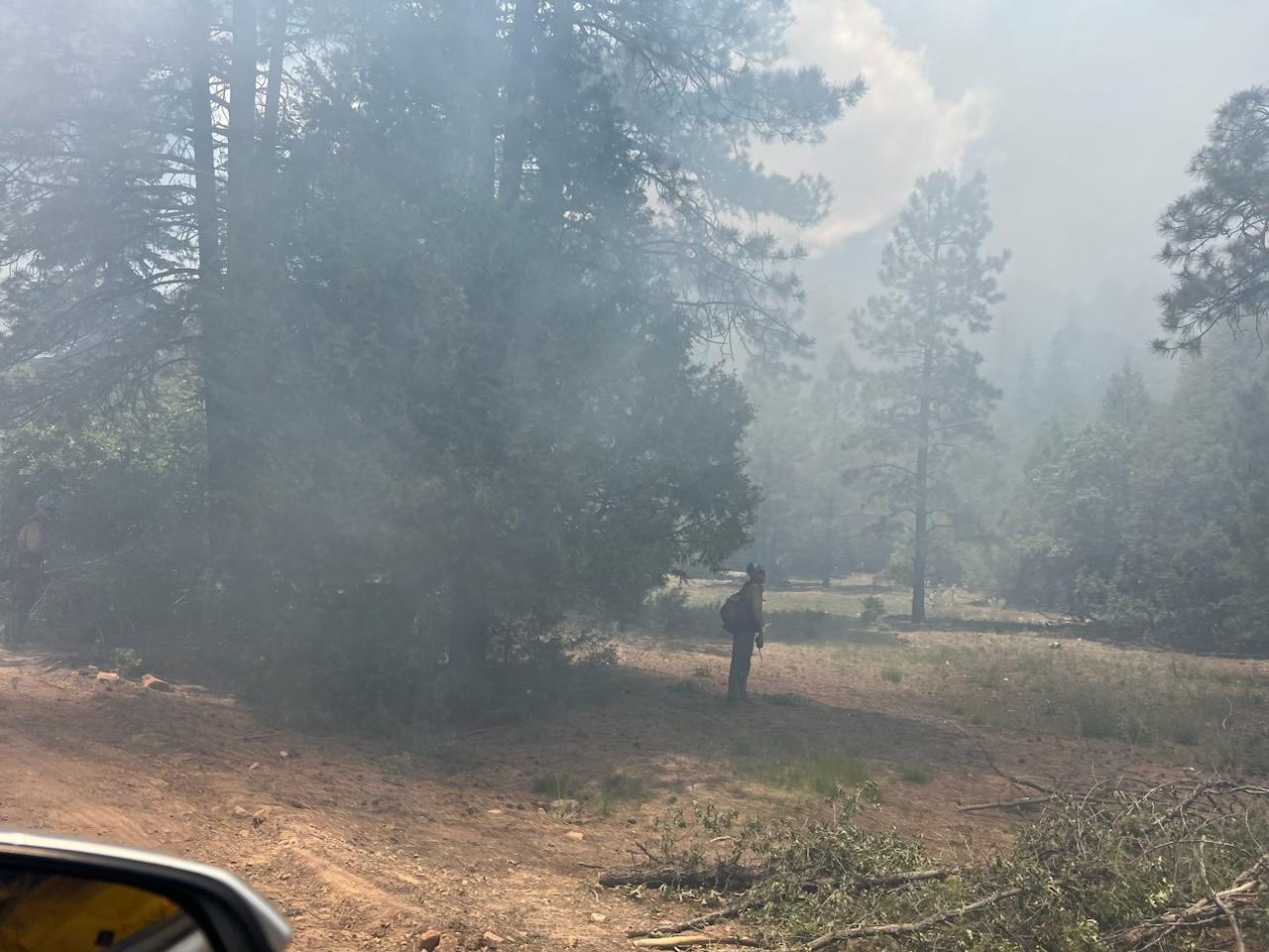 Firefighter standing in the meadow.