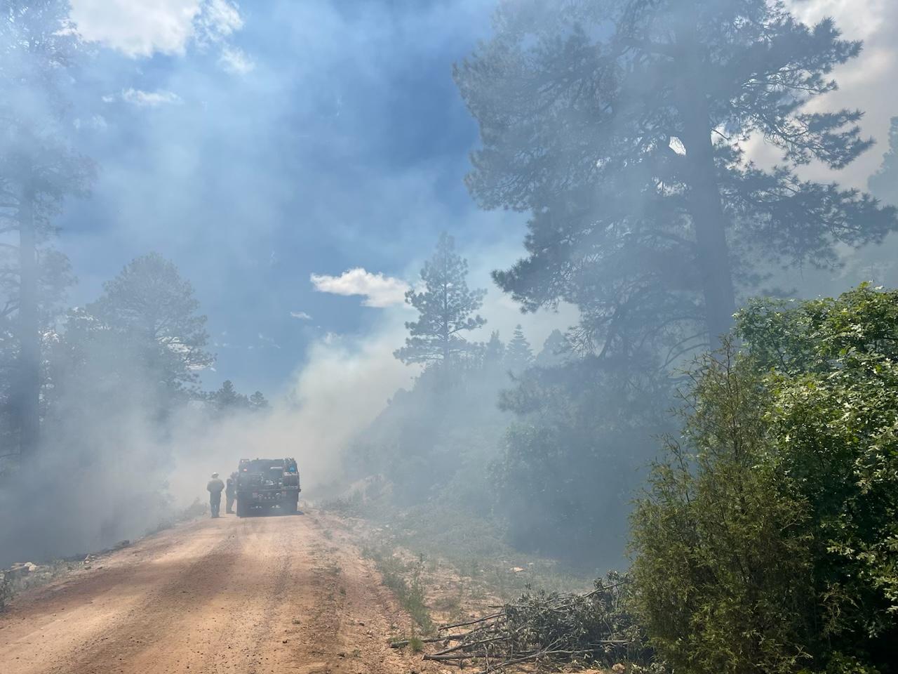 Smoke on the forest road.