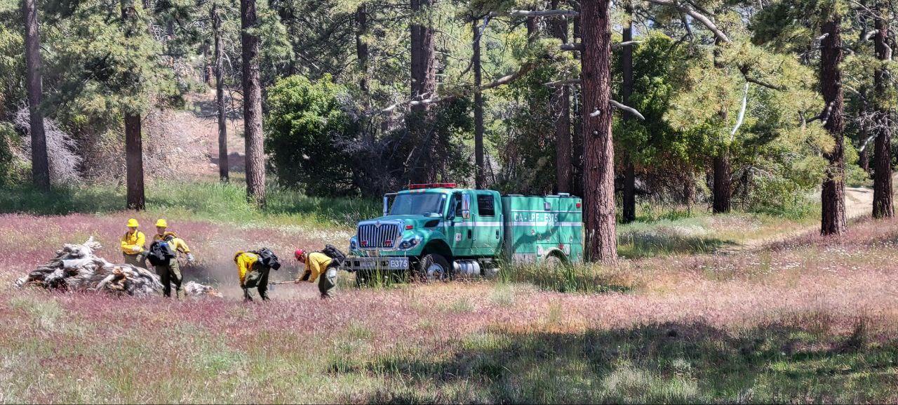 Firefighters building a hand line on the Thomas Mountain prescribed burn - 6/15/23