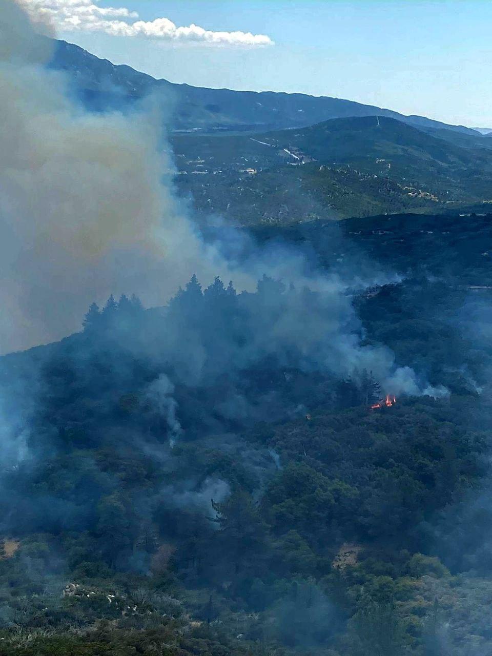 Smoke and flames visible from the Thomas Mountain Prescribed Burn 6/17/23.
