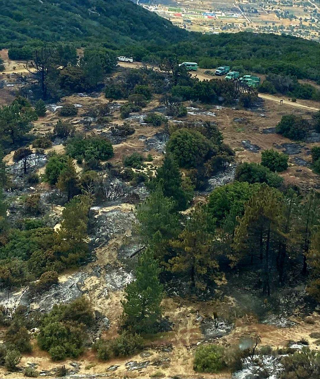 Photo from the helicopter showing how the prescribed fire is consuming the ground litter on the Thomas Mountain Prescribed Burn 6/17/23.