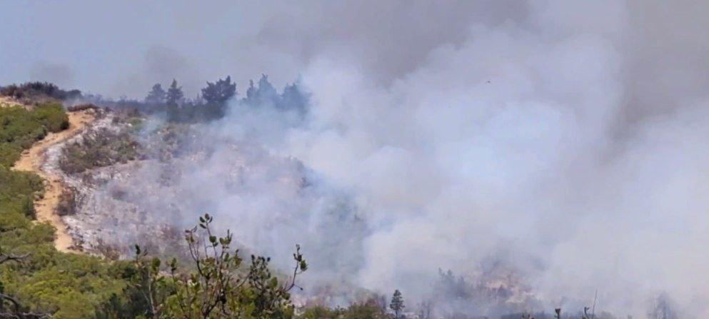 Control line holding the prescribed burn in the designated area on the Thomas Mountain Prescribed Burn 6/17/23.