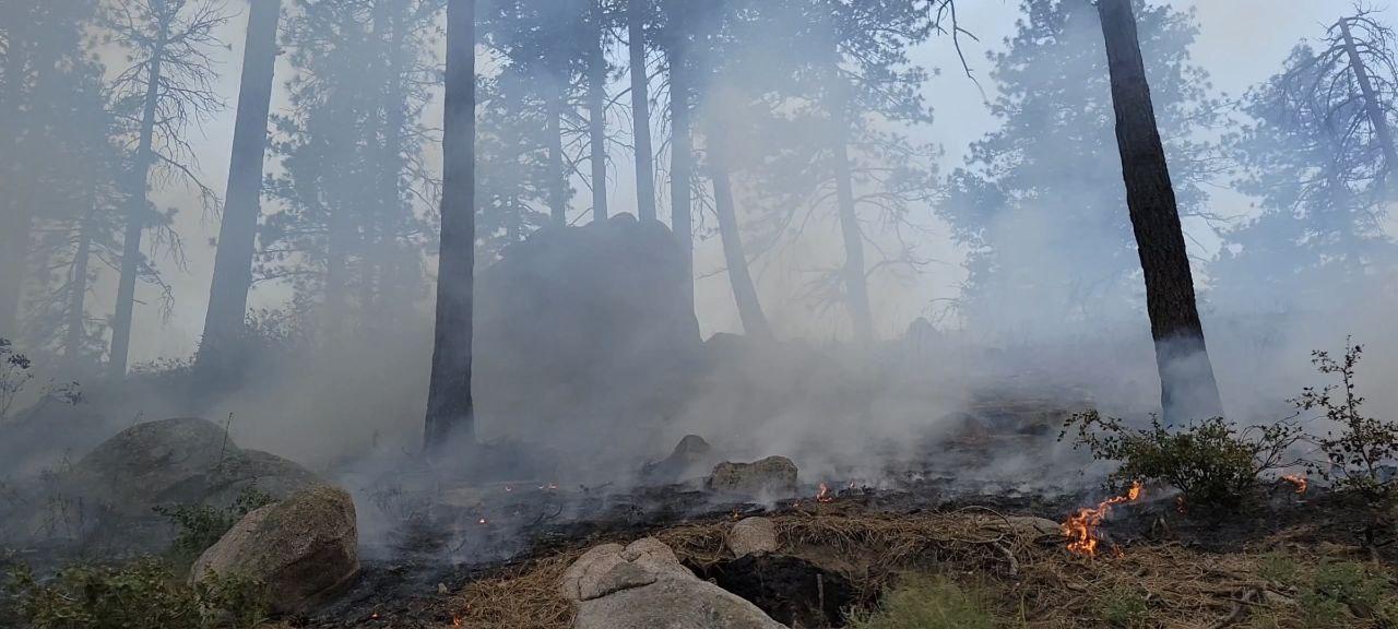 Fire consuming fuels on the Thomas Mountain Prescribed Burn 6/18/23