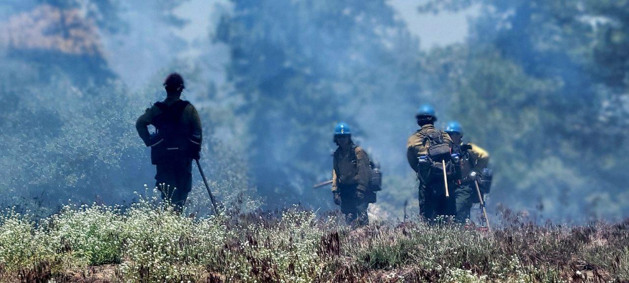 Firefighters monitor the Thomas Mountain Prescribed Burn on 6/20/23