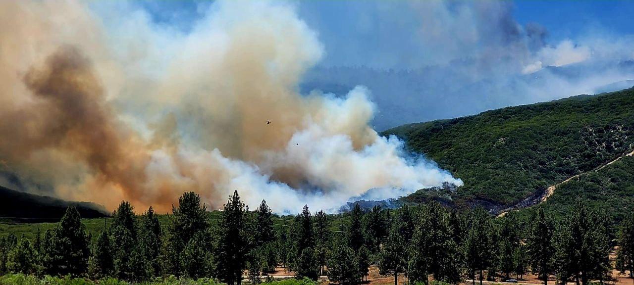 Smoke visible as fuels are being consumed inside the Thomas Mountain Burn 6/20/23