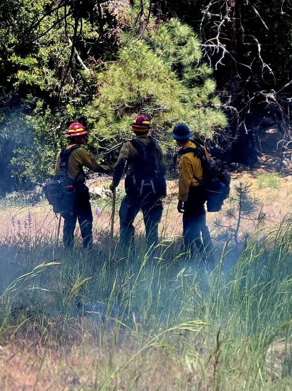 Firefighters monitor the Thomas Mountain Prescribed Burn on 6/20/23