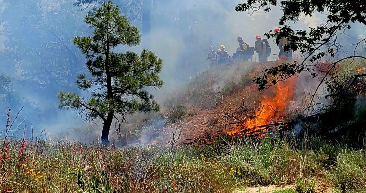 Firefighters monitor the Thomas Mountain Prescribed Burn on 6/20/23