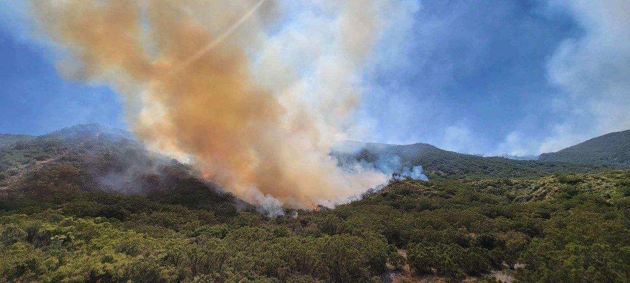 Heavey smoke from interior fuels being consumed on the Thomas Mountain Prescribed Burn 6/23/23