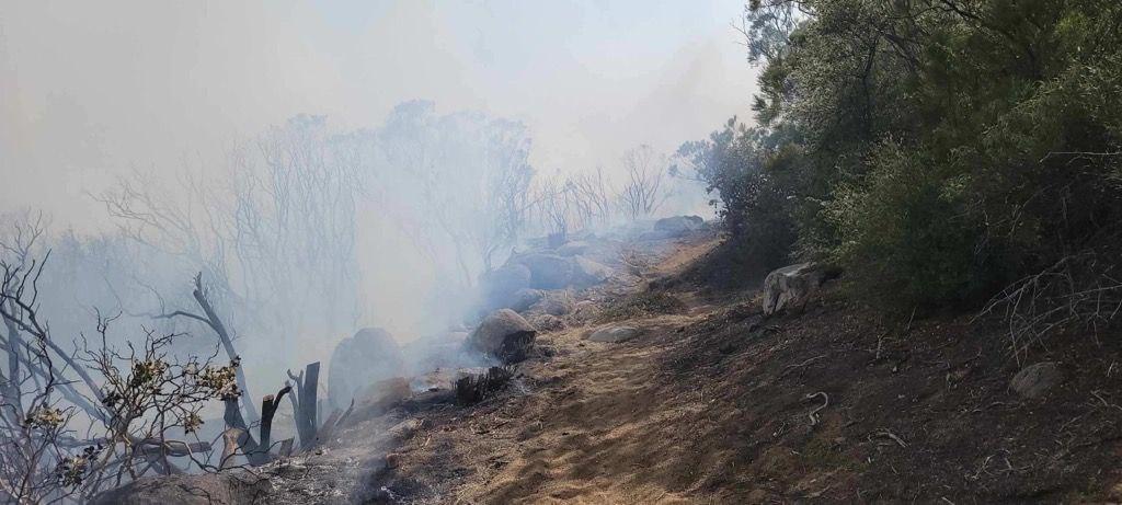 Fuels being consumed in the interior of the Thomas Mountain Prescribed Burn and remaining in the containment line 6/23/23