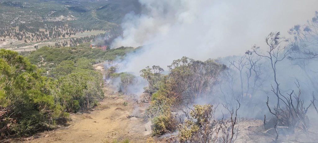 Fuels being consumed in the interior of the Thomas Mountain Prescribed Burn and remaining in the containment line 6/23/23