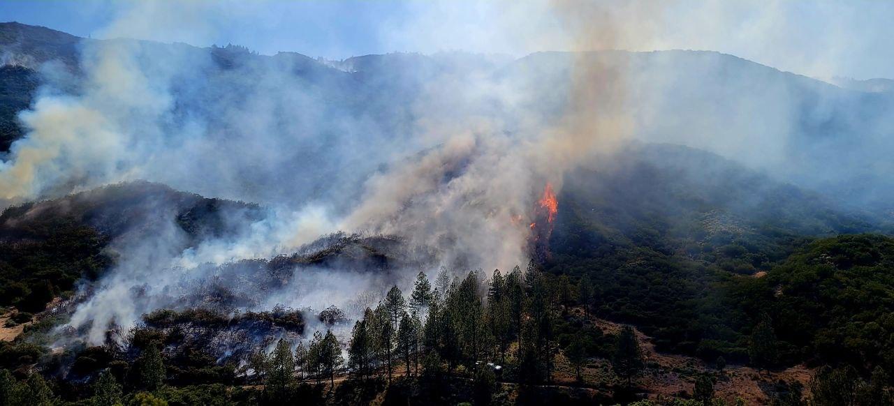 Fuel on the interior being consumed on the Thomas Mountain Prescribed Burn.