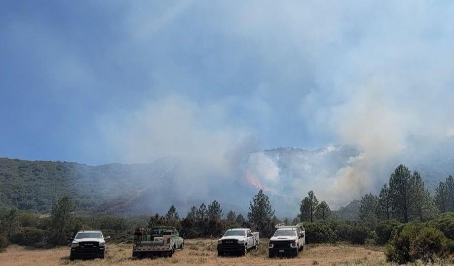 Fuel on the interior being consumed on the Thomas Mountain Prescribed Burn.