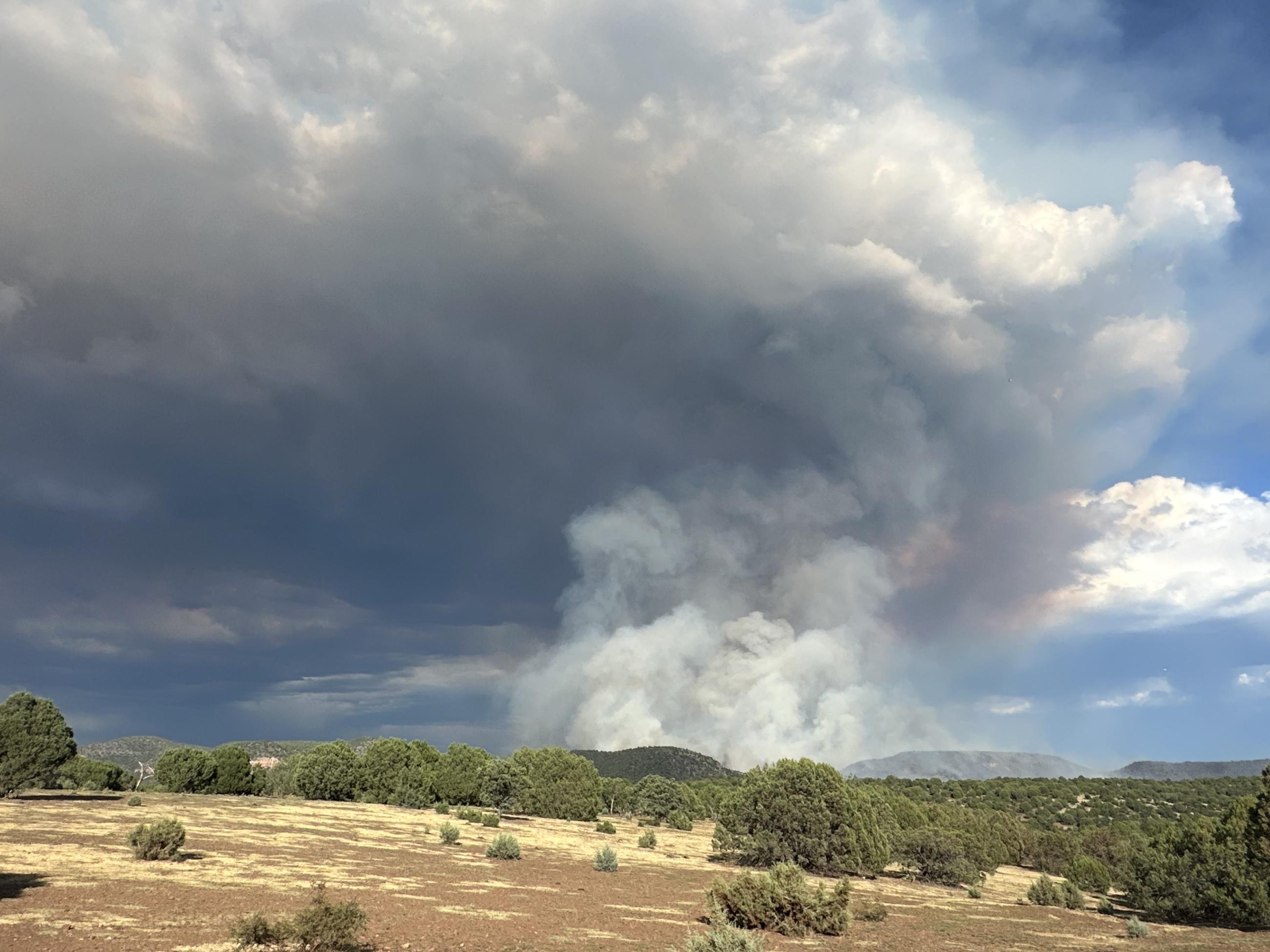 A smoke column from the Spoon Fire