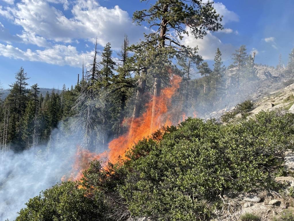 Fire burning in brush on a mountain slope