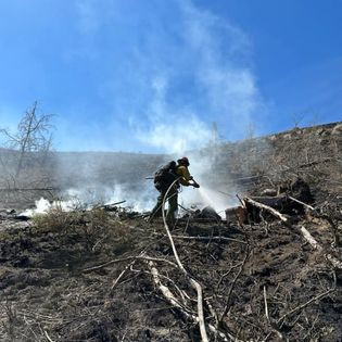 Mopping up on the Newell Road Fire
