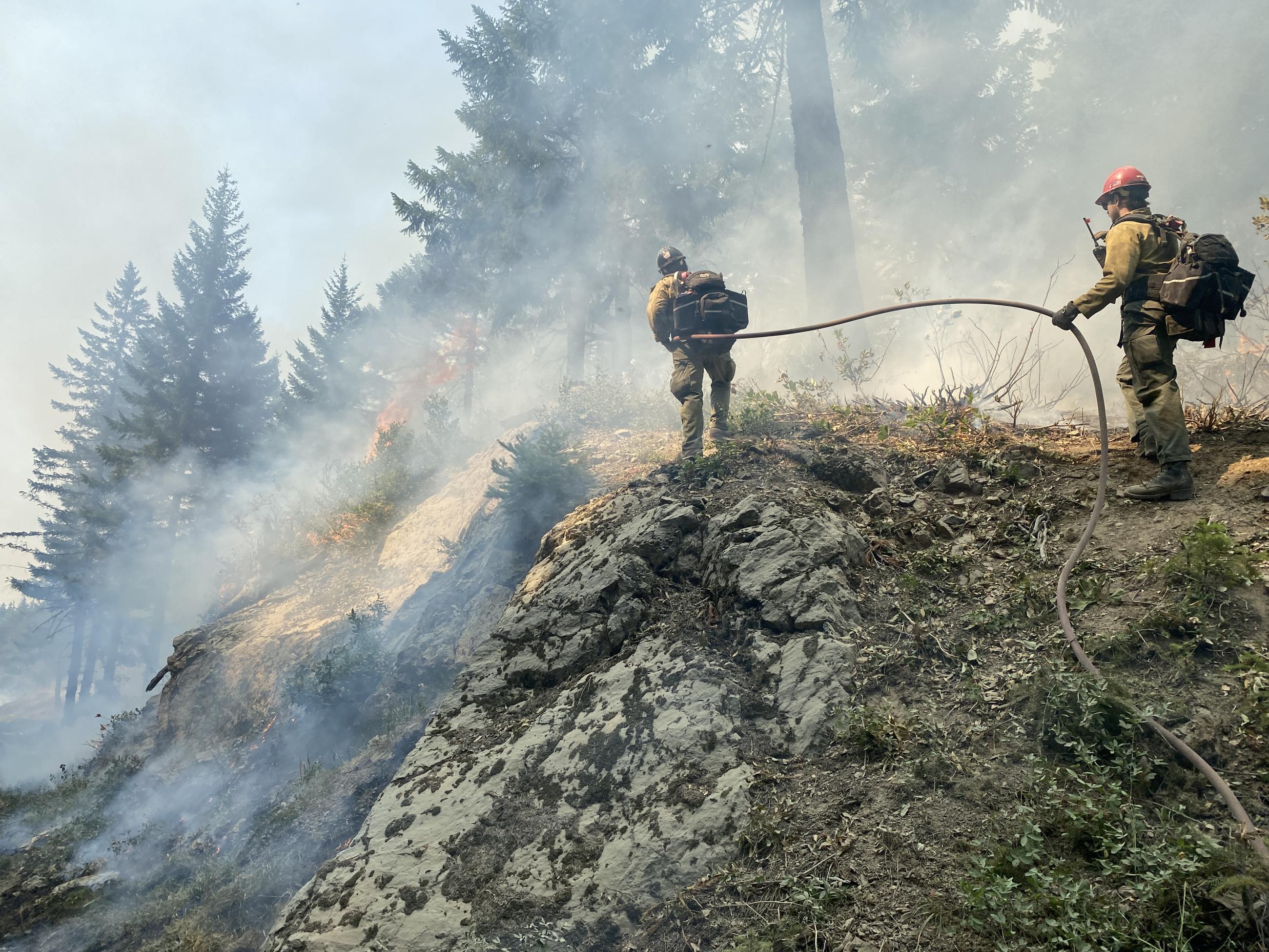 Firefighters from Engine 332 spray an area of heat to prevent a tree from torching 